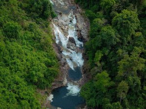[나트랑] 양베이 폭포 투어 동물원 공연 자연온천