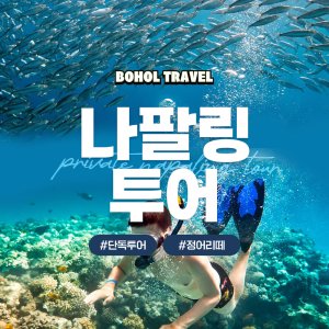[보홀트래블] 나팔링 투어 (수중촬영,픽드랍,단독투어,전담가이드)
