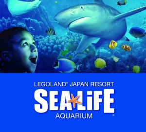 [나고야]  레고랜드 & SEA LIFE  아쿠아리움  당일 입장권