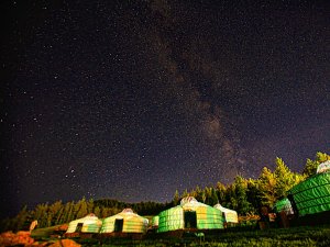 몽골 테를지 국립공원 반일 단독 투어 / 울란바토르 출발