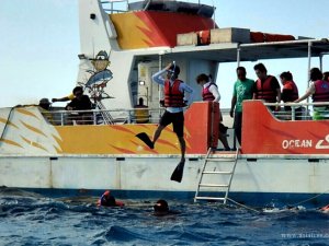 [사이판] 호핑 & 낚시 투어 모음 (오전/오후)