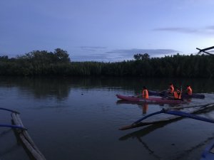 [보홀] 아바탄 반딧불 투어