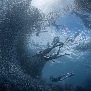 [보홀] 나팔링 단독 프리미엄 밀착케어