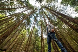 뮤어우즈 국립공원 & 소살리토 투어 (샌프란시스코 출발)