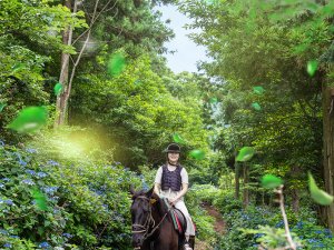 [제주] 오름승마랜드