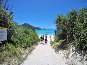 [오키나와](나하 토마리항구 출발) 토카시키섬 해수욕+토카시쿠 해변 바다거북 스노클링 투어(고속선)