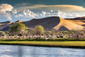  [몽골] 고비사막 4박5일