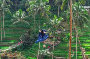 [발리] [발리스윙] 알라스 하룸 발리(Alas Harum Bali) 스윙 (우붓 뜨랑갈랑에서 인생샷 찍기)