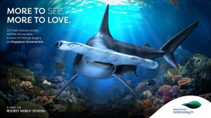 싱가포르 오셔너리움(해양수족관) 티켓