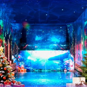 [제주] 워터월드제주 입장권