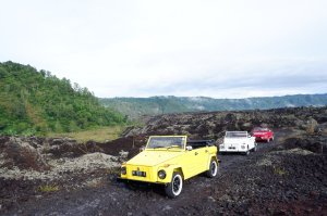 발리 킨타마니 폭스바겐 사파리 투어 