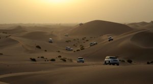 [아부다비] 일출 사막투어(04:30~09:00)