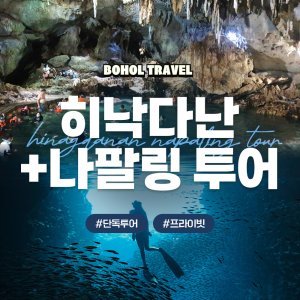 [보홀트래블] 나팔링+히낙다난 투어 (수중촬영,픽드랍,단독투어,전담가이드)