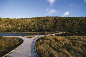 (멜버른 출발)윌슨스 프로몬토리 국립공원 종일 투어