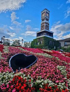 [삿포로] 북해도 샤코탄&오타루 1일 버스투어 라쿠투어 [라쿠투어]