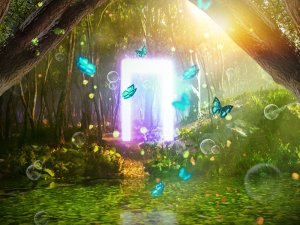 [제주] 아이바가든