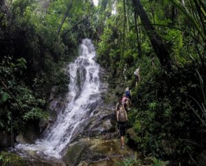 [치앙마이] 도이수텝 트레킹 투어