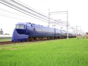 (교환X, 즉시확정) 오사카 난카이 라피트 특급열차 디지털 티켓