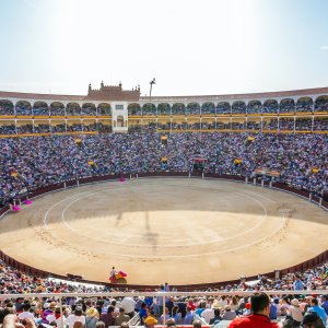 라스 벤타스 투우장 및 박물관