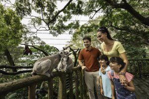 5-in-1 파크 패스 : 싱가포르 동물원, 리버 원더스, 나이트 사파리, 버드 파라다이스, 레인포레스트 와일드 아시아