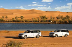 두바이 사막 보호 구역 투어 