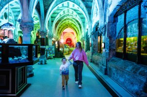 씨라이프 브라이튼 입장권 