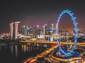 [싱가포르] 플라이어 - Slight /Champagne 