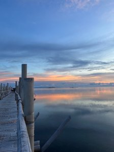 [보홀] 선셋 노스젠 밤부 브릿지 & 아바탄 반딧불 투어