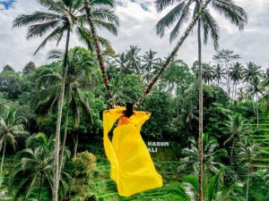 발리 알라스 하룸 (Alas Harum)  뜨갈랄랑 우붓 스윙 티켓