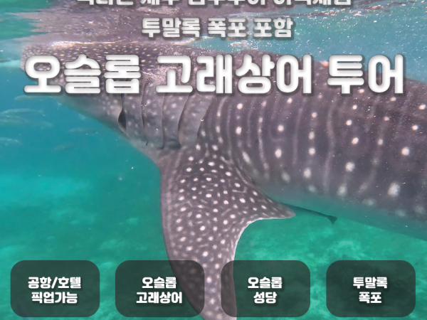 [패스트트랙] 오슬롭 고래상어 (투말록) 모알보알 호핑 (공항픽업무료 조인단독)