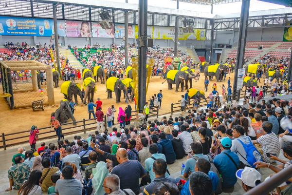 (한국어가이드) 파타야 시티 체크아웃 단독 투어 & 공항 샌딩
