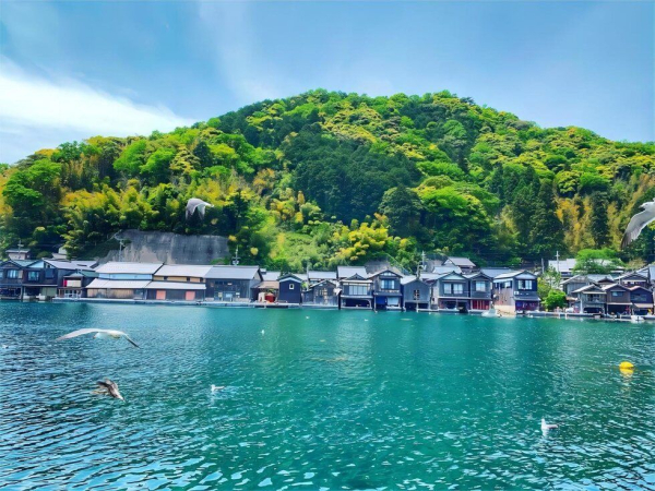 (한국어 가이드) 교토 아마노하시다테 이네후나야 일일 버스 투어