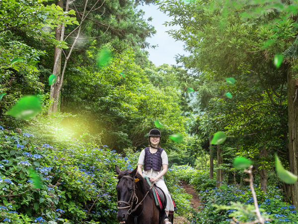 [제주] 오름승마랜드