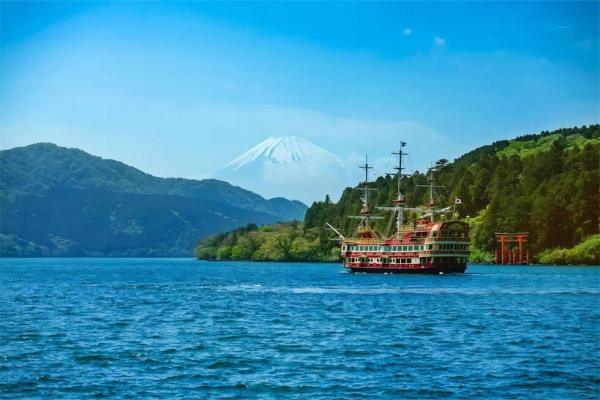 (한국어 가이드) 후지산 포토 스팟 일일 버스 투어 D코스