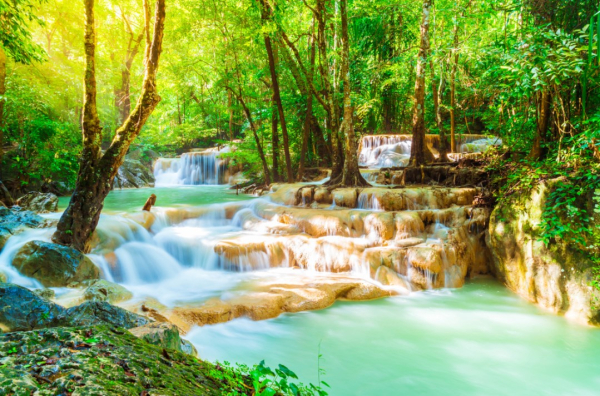 (한국어가이드) 칸차나부리 사파리파크 + 에라완국립공원 + 콰이강의다리 + 미나카페 단독 투어