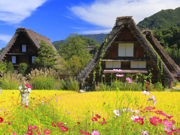 [한국어가이드] 시라카와고 & 다카야마 일일 버스 투어