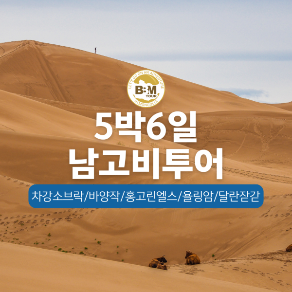[몽골]고비사막 투어 5박6일
