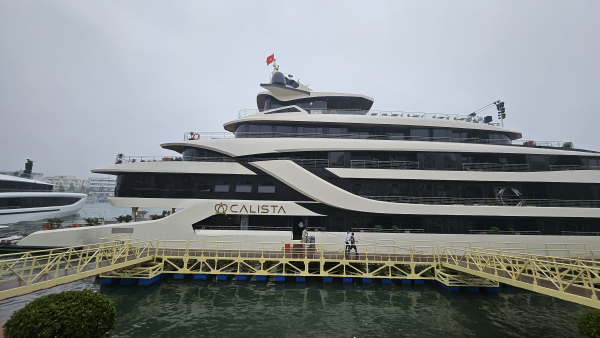 [하롱베이] 6성급 칼리스타 1박2일 크루즈 #픽업샌딩 #투어형