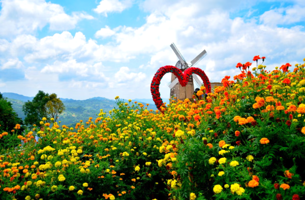 [단독투어] 세부 탑스(정상) 인스타그램 시티투어 - 시라오가든, 탑스힐, 레아신전
