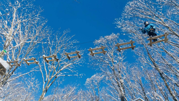 [홋카이도] 포레스트 어드벤처 에니와 체험권 (짚트립 투어)