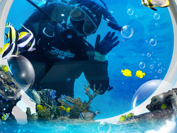 [제주] 우도잠수함