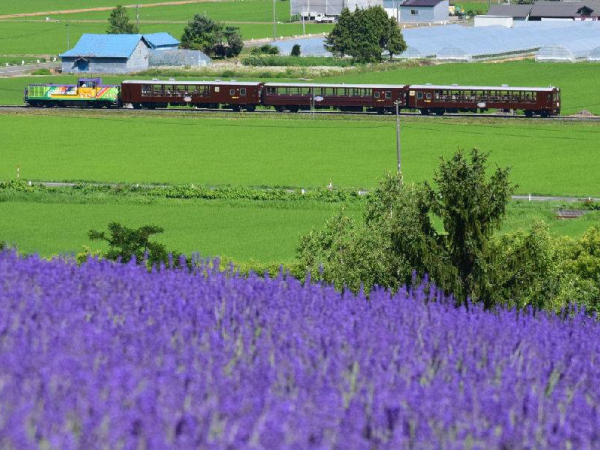 [훗카이도] JR홋카이도 레일패스 - 5/7/10일권