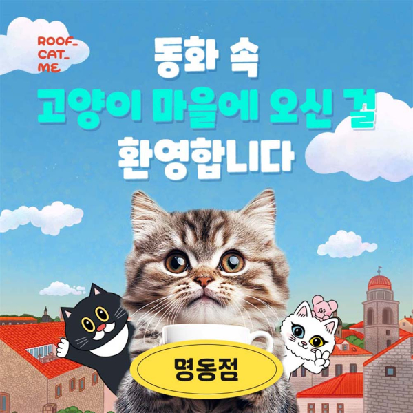 [서울] 루프캣미 실내 고양이카페 명동점