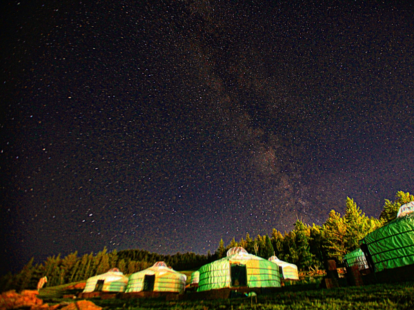 몽골 테를지 국립공원 반일 단독 투어 / 울란바토르 출발