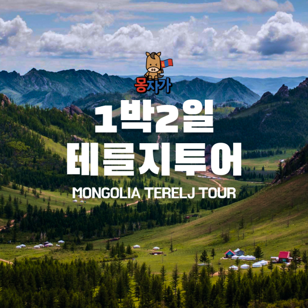 [몽골]1박2일 테를지투어