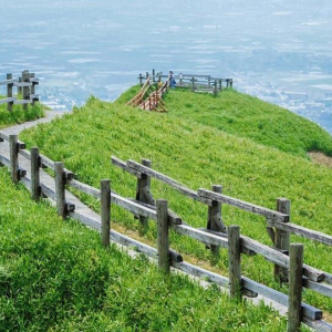 [한국어가이드] 후쿠오카 출발: 큐슈 구마모토 일일 버스 투어 B코스