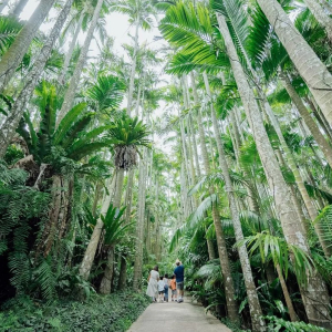 [오키나와]오키나와 동남식물낙원 1DAY 패스 (주간+야간)