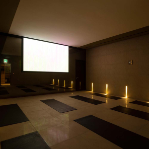 아쿠아필드 안성 찜질스파 입장권(1/31~2/28)