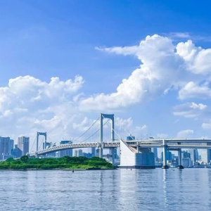  [도쿄] [입국 후 바로 여행] 단독 도쿄 반나절 투어 (공항 픽업 & 호텔 드롭) 반대도 가능!!