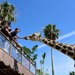  [오사카] 와카야마 어드벤처 월드 1 일 입장권